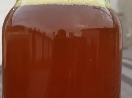 Куплю олію ріпакову