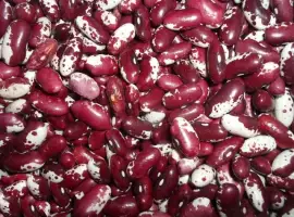 Зображення для оголошення Квасоля на продаж. Різні сорти в асортименті