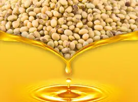 Продам соєву нерафіновану олію