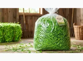 Зображення для оголошення Продам сіно лугове запашне