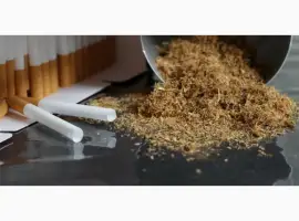 Зображення для оголошення Низкая цена Вирджиния Голд.Бонд.БЕРЛИ.Кемел