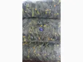 Зображення для оголошення Продам огірки сорт:Дерія Ґрунт