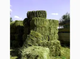 Зображення для оголошення Сіно