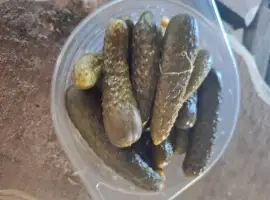 Зображення для оголошення Продам квашений Огірок