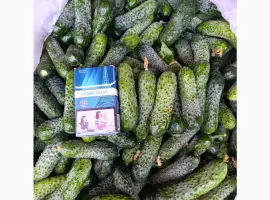 Зображення для оголошення Продам свіжий огірок