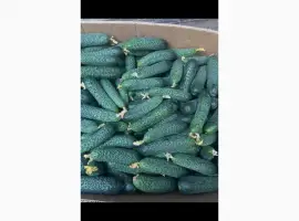 Зображення для оголошення Продам будь який об’єм
