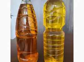 Продам рапсовое масло