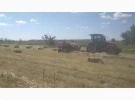 Зображення для оголошення Продам сіно суданки