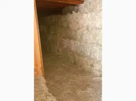 Зображення для оголошення Продам сіно