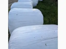 Зображення для оголошення Продам Сінаж(Різнотрав'я) подрібнений