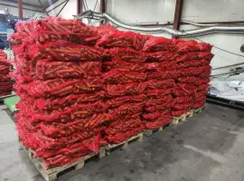Зображення для оголошення Продам моркву