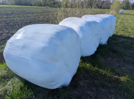 Зображення для оголошення Продам тюки в рулонах
