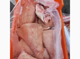 Зображення для оголошення Щока баки на шкірі