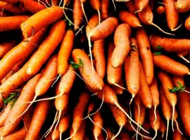 Зображення для оголошення Продам заморожена морква кубик оптом від 5 тонн морква різана для виробництва Чернігівська
