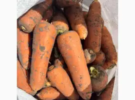 Зображення для оголошення Продам моркву