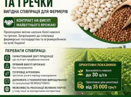 Реалізуємо насіння білої квасолі та гречки
