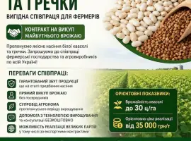 Посівмат квасолі та гречки з контрактом на викуп врожаю
