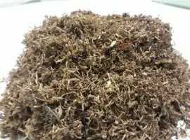 Продам якісну -Махорку