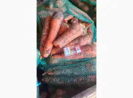 Зображення для оголошення Продам гуртом моркву 2 с