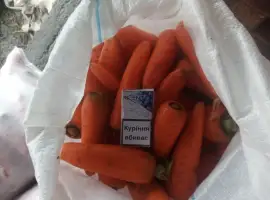 Зображення для оголошення Продам миту моркву