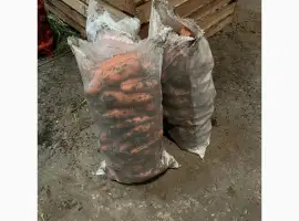 Зображення для оголошення Продам Морковку Идеального Качества