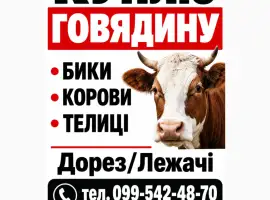 Куплю Говядину