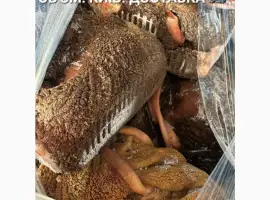 Рубець яловичий