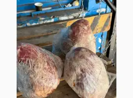 Зображення для оголошення Сердце яловиче індивідуальне та блочне ОПТ