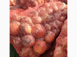 Зображення для оголошення Продам цибулю