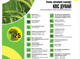 Зображення для оголошення Продам насіння озимого Ячменю сорт КВС Дунай