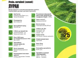 Продам насіння озимого Ячменю сорт ЛУРАН