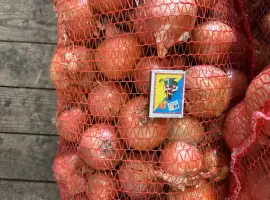 Зображення для оголошення Продам цибулю