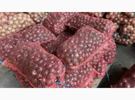 Зображення для оголошення Продам цибуля червона Марс