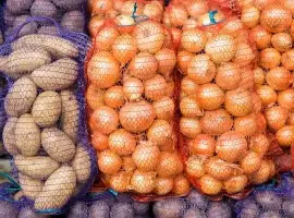 Зображення для оголошення Куплю Цибулю та Картоплю з поля в сітках