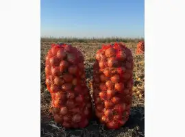 Зображення для оголошення Продам цибулю оптом з поля