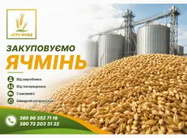 Купимо ячмінь дорого | Закупівля ячменю по всій Україні