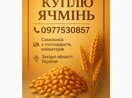 Куплю ячмінь