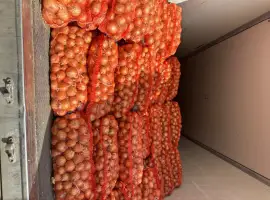 Зображення для оголошення Продам Лук Сорт Медуза
