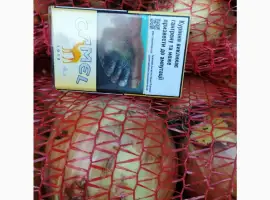 Зображення для оголошення Продаєм цибулю