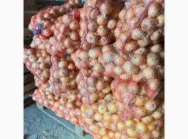 Зображення для оголошення Продам цибулю (врожай 2026)