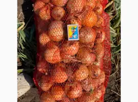 Зображення для оголошення Продам цибулю