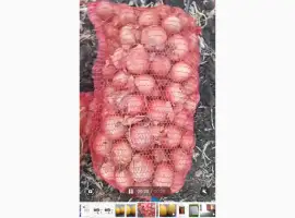 Зображення для оголошення Продам лук