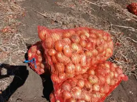 Зображення для оголошення Штутгарт суходол