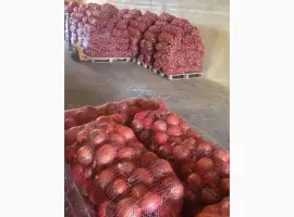 Зображення для оголошення Продам гарну цибулю