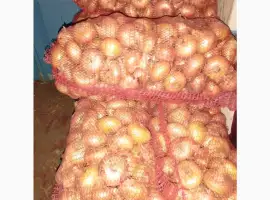 Зображення для оголошення Продам цибулю