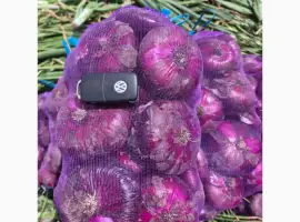 Зображення для оголошення Продам цибулю кримську