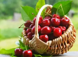 Зображення для оголошення Продам заморожену вишню