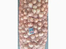 Зображення для оголошення Продам лук