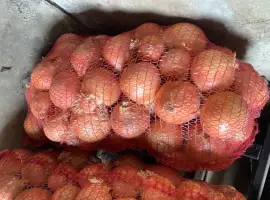 Зображення для оголошення Продам цибулю