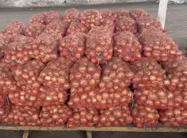 Зображення для оголошення Продам Цибулю